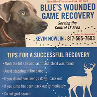 Blues Wounded Game Recovery